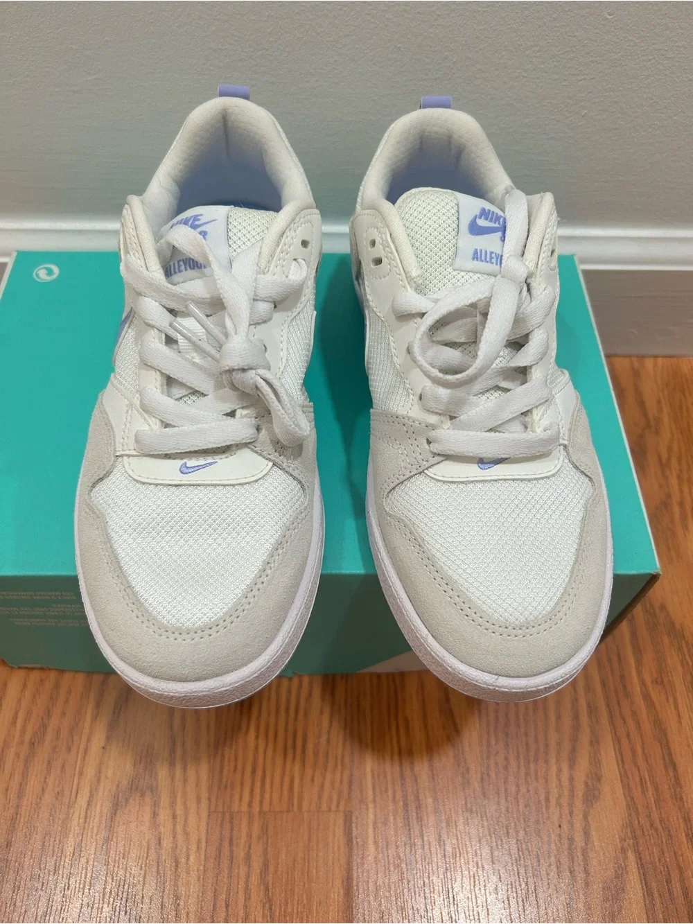 Women’s Nike SB Alleyoop